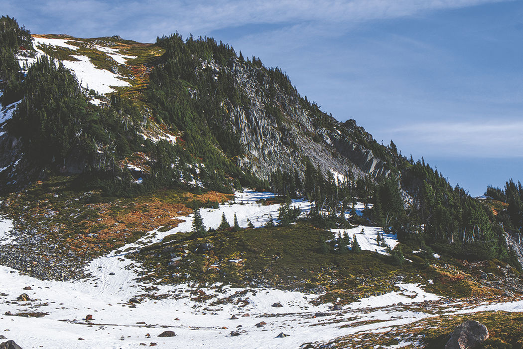 Photos: From Paradise in Mount Rainier National Park